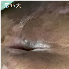 1741430791289.jpg