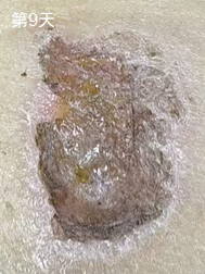 1741448251163.jpg