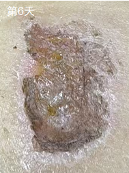 1741448426581.jpg