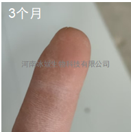 1751623945566.jpg