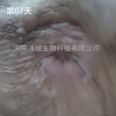 1752230018232.jpg