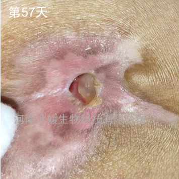 c73ffbce79a111c5fc2048d0538693da.png