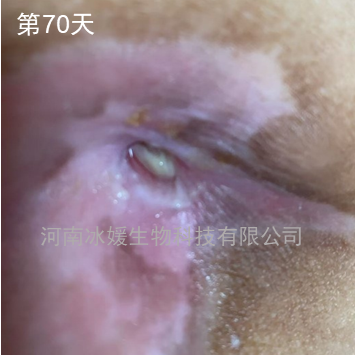 cae1386aa8d96ec2416df2a9382e9710.png