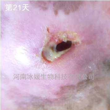 fd60d654-d8b2-4555-a52d-b719ed9d9eb7.png