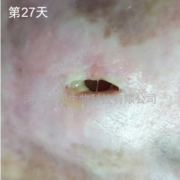 505518b0-4b5a-4b0a-9f96-c21f13c5698d.png