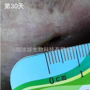 809df7c6-8b12-4934-92f1-5e9678ffcbe9.png