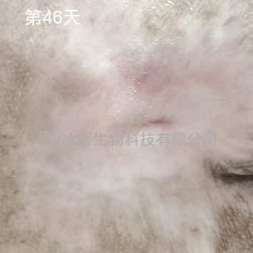 9ad6a3e3-1c8c-4611-8380-6e30dda6577f.png