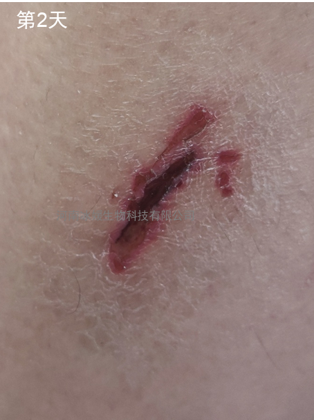 dc1a1dce-b519-4484-a06d-8fdace00d4d2.png