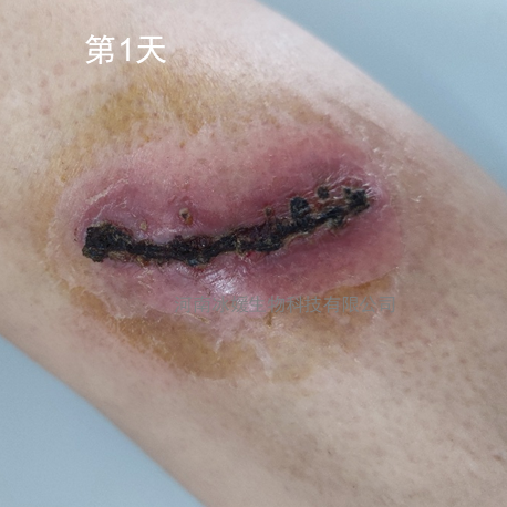 816d755f-4314-4962-8fc0-117032b2afcd.png