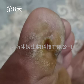 ed954d76-78a2-461f-b5a2-850ee3fd84b1.png