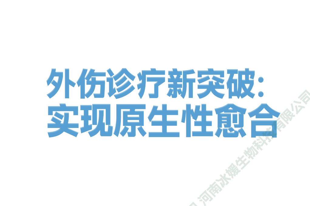 外伤诊疗新突破：实现原生性愈合