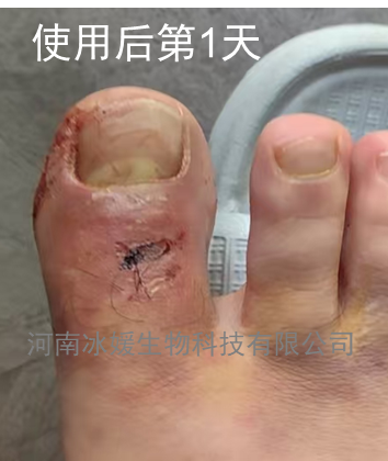 e881597c-7f60-4d93-8ff3-1bf81a832eec.png