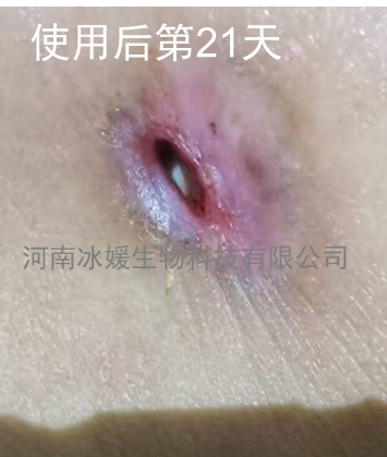 6e9e6089-8fda-4e2d-b3f3-4253854ff844.png