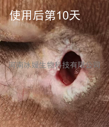 05d651e0-ce2c-4a13-b7c0-83690b095818.png