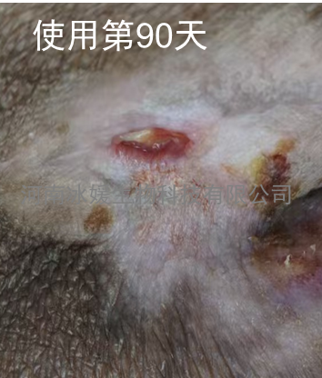 22634fff-e46a-43f0-95ef-b9692fff8d6c.png