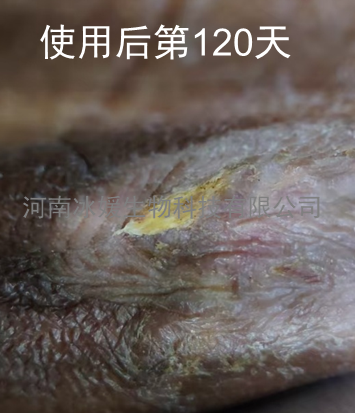 403d30f0-5834-44d1-880b-42d10ab170c1.png