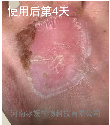 48952740-b901-4be9-8e95-54f716b9e5de.png