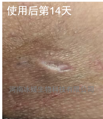 16389686-76fd-4e8a-af49-7800e7a12a8a.png