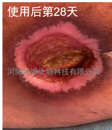 484d6924-2341-4d5f-bc29-235702bffa6a.png