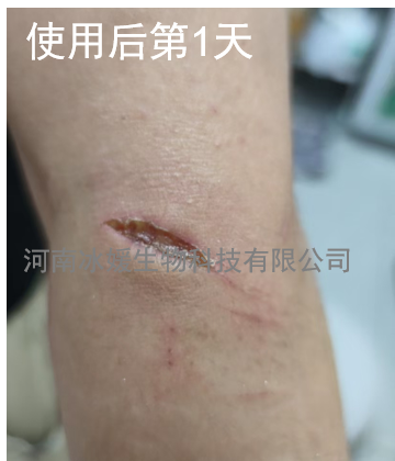 65fd5a79-390b-43ca-b575-ff329bce5804.png