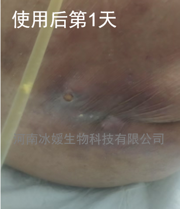 632d1b61-e999-4e5b-8832-cdf86a7e43ac.png