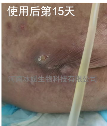 57bccdb5-ceb7-4d62-ab26-97d4c2986d0f.png