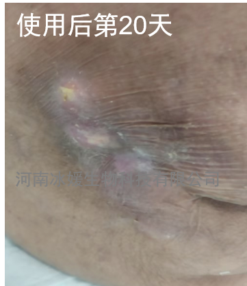 9ef40387-42fd-4007-979f-5662c70ef75b.png