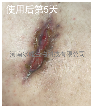 16aec84d-43a4-410b-a04f-2fde052a6637.png
