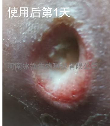 d15b777e-b191-4abc-a816-803160342410.png