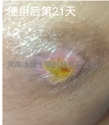 a15fd828-eb43-4285-aabd-8f5f2d505eb6.png