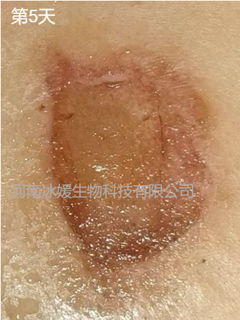 d69e4a33-a0b5-4d9e-a94e-686d8ff33917.png