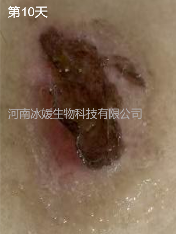 387b2ad6-bcd7-4b3b-b3ab-5473f34281d8.png