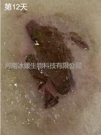 499f47cb-cff2-41cc-8e50-5f4f85ab2224.png