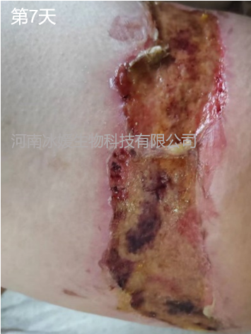 c3611a0b-f6b8-4e24-9aa7-f8c18f6450ad.png