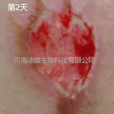 ee68e043-784d-4751-9d88-d0a5ebe00dd2.png