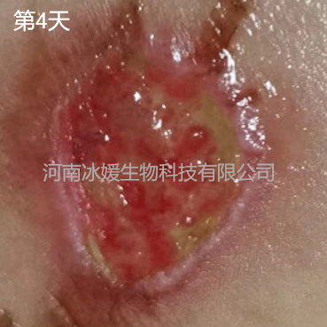 310e3f3b-461c-491c-a73e-eea35c31532d.png
