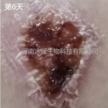 a88983a7-582e-4631-acd5-c589929bd2f9.png