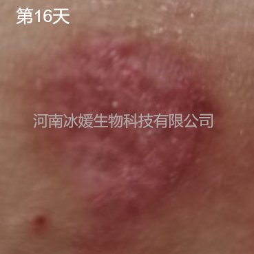 418271fb-7a89-4d4b-89c4-9ec2e5ce87c0.png