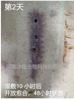 8c441108-1781-4112-afd1-227f123230f8.png