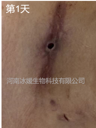 174ae1d6-e9c7-4dea-9eed-02337033be9e.png