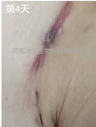 b56be988-7e83-4c37-b559-67ef6b3481b6.png