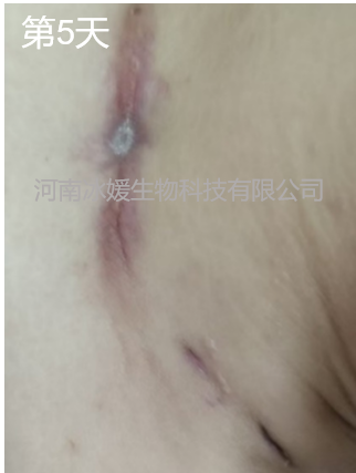48abd43b-60a6-495b-81e5-0ea9ab488280.png