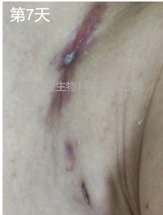 96fe60ce-c45a-47d8-a54c-9df3aa13df42.png
