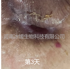 a3272c99-dfdf-415a-b1e9-5ebb2dea6f93.png