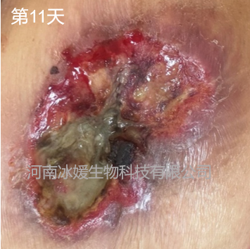 f0a33538-ee62-424a-9f1e-a1d73da572b0.png