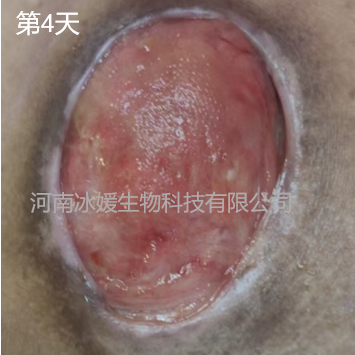 8b1f93e6-f3e5-4115-a9f8-1aaf7ad74048.png