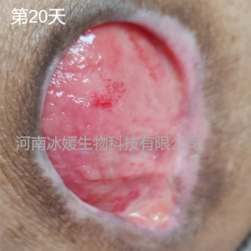 7fc0e6e7-2b6c-4050-870a-d8e2d8fb13a3.png
