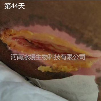 2403a1f6-6f30-4229-9956-08da4e2821ee.png