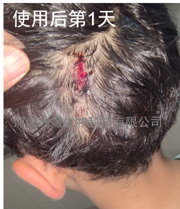 ce65a857-146e-46e0-9e9a-abd97243c4a2.png