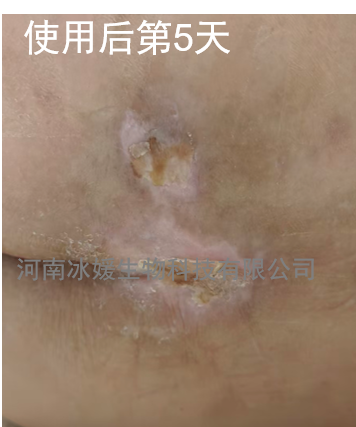 d50805ba-3e6b-45ee-aeec-f9be77e349fe.png